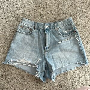American Eagle Curvy 90’s Boyfriend Shorts - Strigid 10